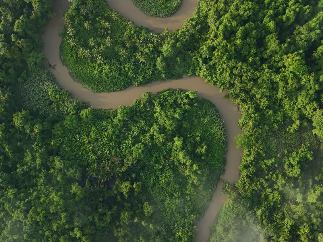 Aerial view of a winding river through dense rainforest