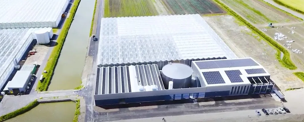 Enza Zaden research campus and energy center