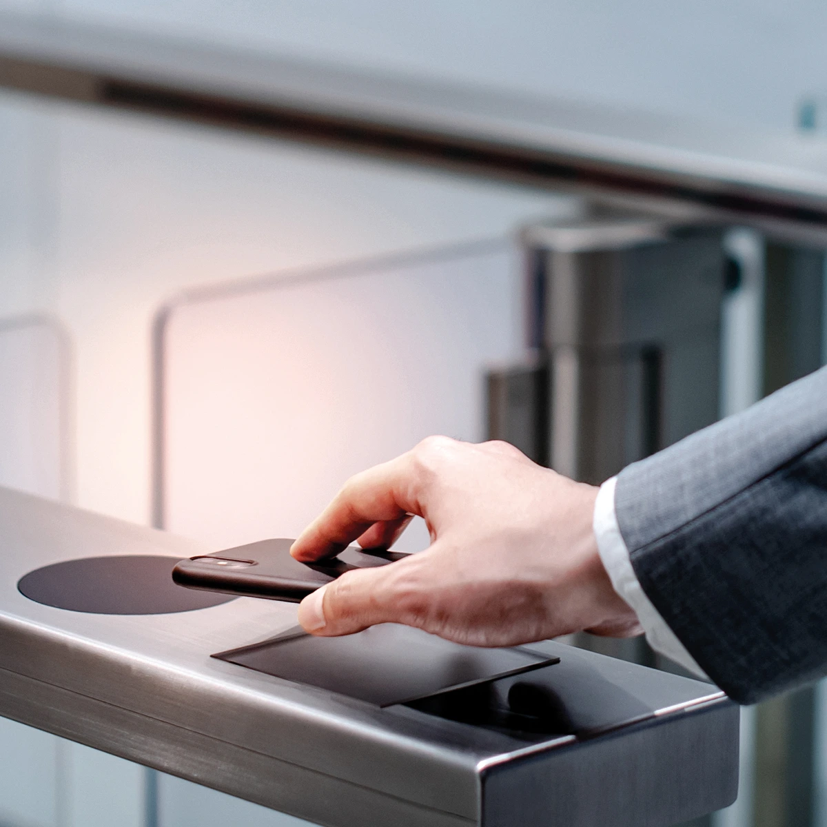 inepro identification in government